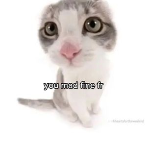 Meet your Posher, Lilly